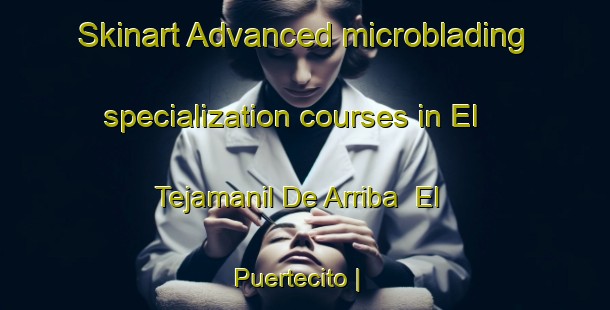 Skinart Advanced microblading specialization courses in El Tejamanil De Arriba  El Puertecito | MicrobladingTraining | MicrobladingClasses | SkinartTraining-Mexico